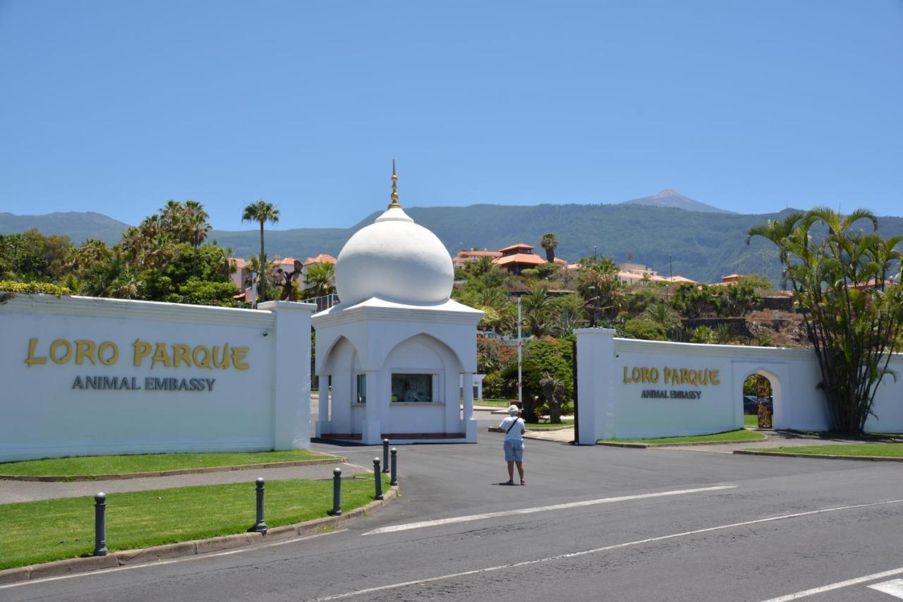 Apartamento Puerto De La Cruz - S De Sol Lägenhet Exteriör bild